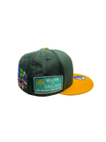 WSM Town Bidniz | Fitted Hat | Green